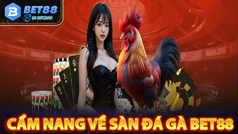 Cẩm nang chung về sân chơi đá gà bet88 